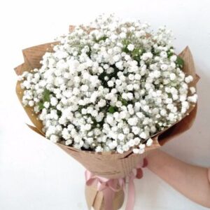 GIẤY BÁO BÓ HOA ĐẸP